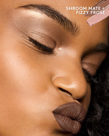 Matte 'N Shimmer Eyeshadow Stick Duo