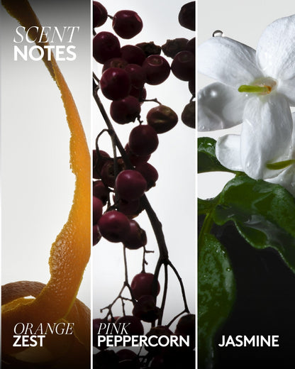 Body Start'r Set Full-Size Bundle