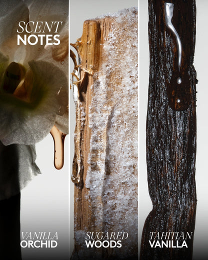 Body Start'r Set Full-Size Bundle